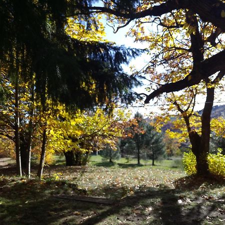 Les Mimosas Gite Du Mas Haut Saint-Jean-du-Gard Exterior foto